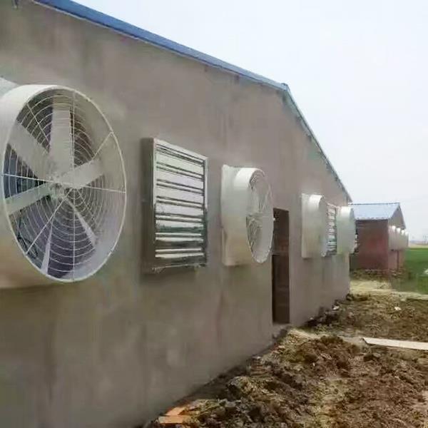 养殖91视频专区