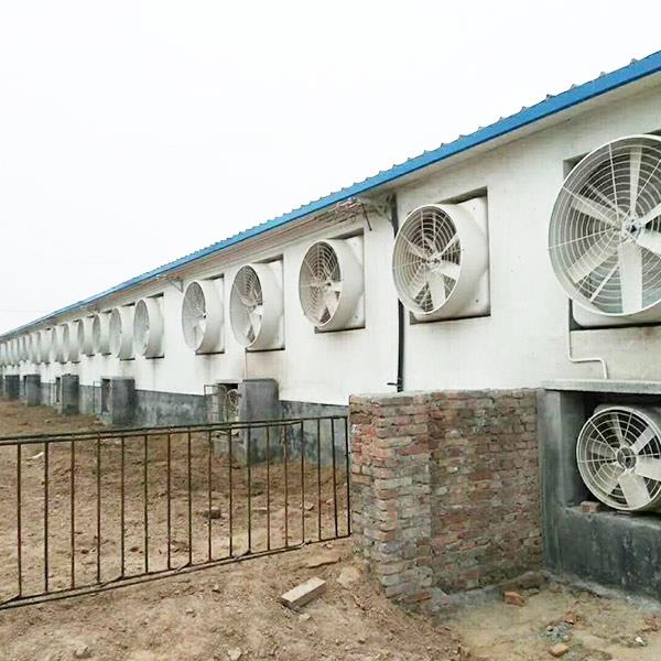 养殖91视频专区