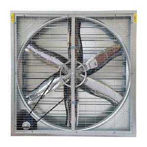 降温91视频专区的具体安装