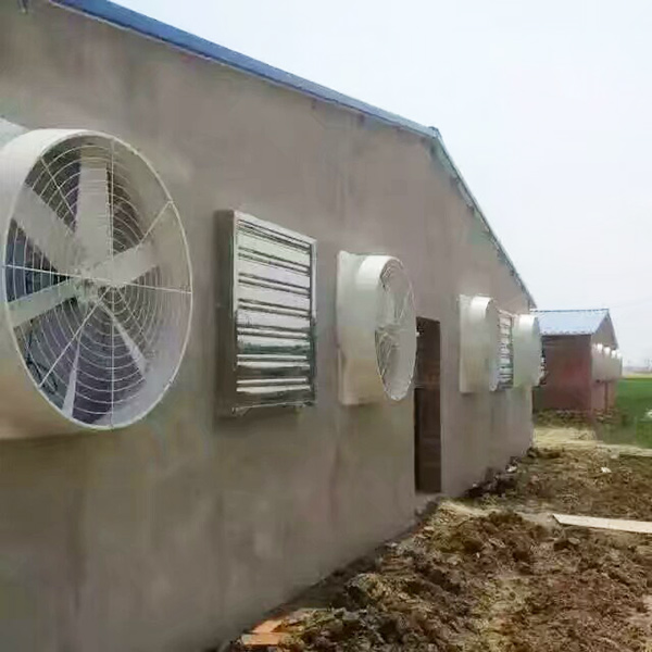 养殖91视频专区的相关知识
